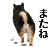 885840904