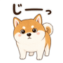 885842658