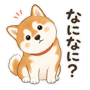 885842665