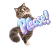 885873457