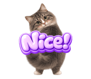 885873458