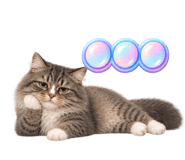 885873460
