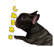885873926
