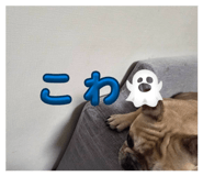 885874404