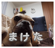 885874413