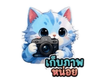 885877546