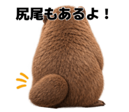 885882826