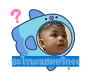 885884145