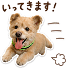 885886110