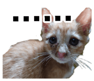 885911230