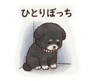 885924268