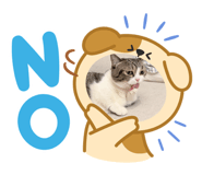 885936996