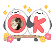 885936999