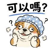 885950546