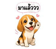 885957510