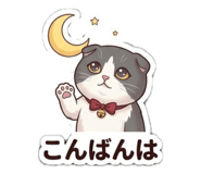 885963491