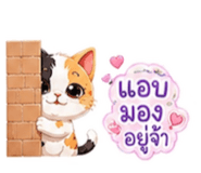885969377