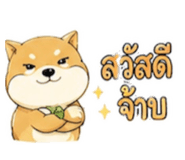 885970201