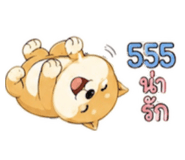 885970209