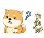885970215