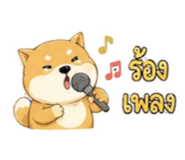 885970221