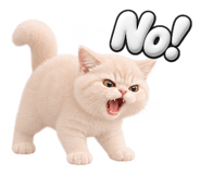 885995598