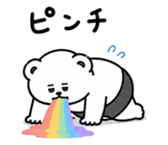 886055752