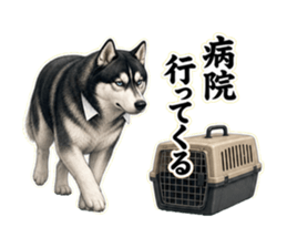 LINEスタンプ「病院行ってくる」のサンプル