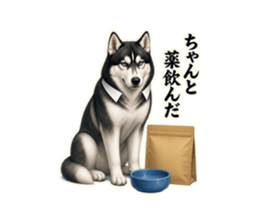 LINEスタンプ「ちゃんと薬飲んだ」のサンプル