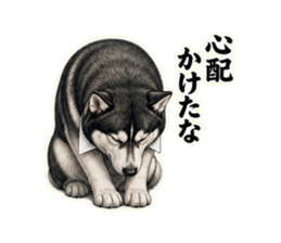 LINEスタンプ「心配かけたな」のサンプル