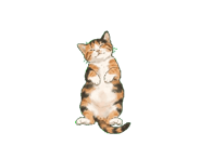 886060899