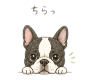 886069797