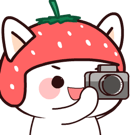 886102767