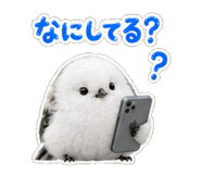 886127338