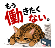 886128089