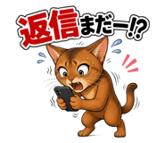 886128097