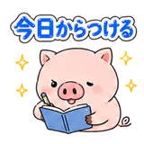 886129081