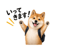 886136125