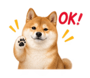 886136132