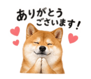 886136134