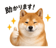 886136136