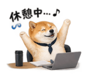 886136137