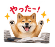886136138