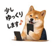 886136145