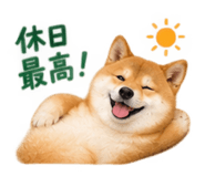 886136150