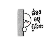 886157213