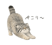 886182221