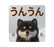 886190077