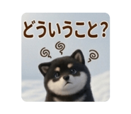 886190081