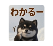 886190082